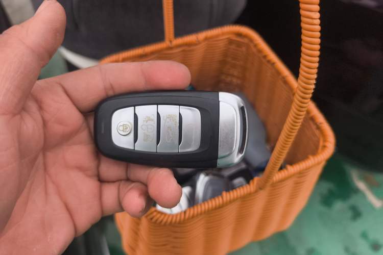 Used Hongqi H9 2020 2.0T Smart Connect Flagship Edition