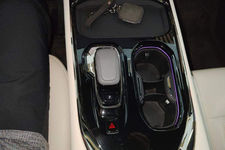 Used Zeekr 009 2022 WE Edition Gear Lever