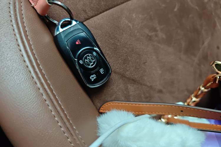 Used Buick Regal 2019 20T Elite Version China VI Standard
