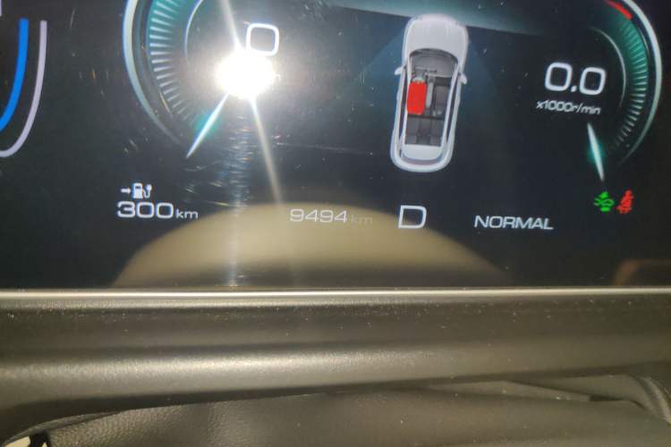 Used ORA Good Cat 2024 401 km Luxury Version Odometer Close Up