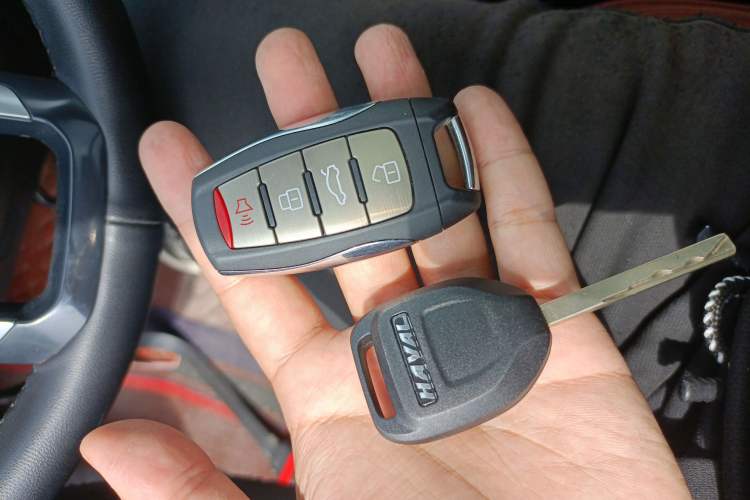 Used Haval LHERY 2022 Jingxiang Edition 1.5T Copper Rabbit Vehicle Key