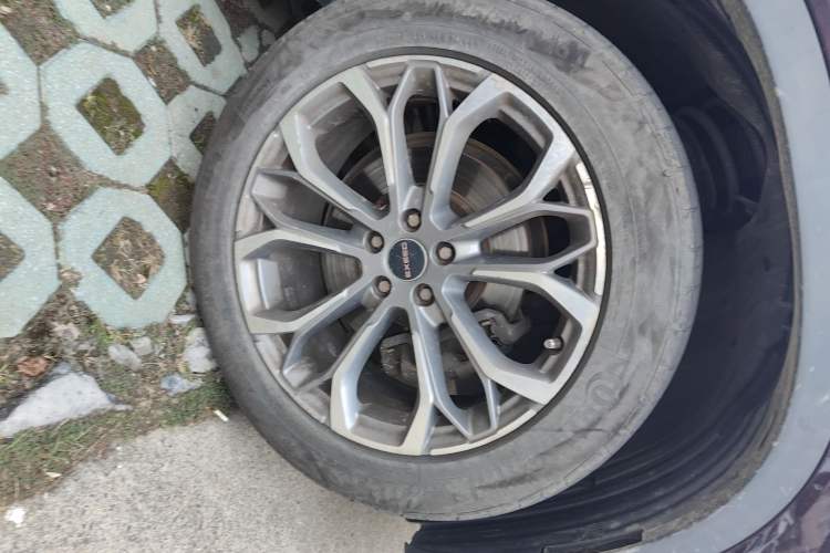 Used EXEED TX 2019 1.6T Two-Wheel-Drive Zijin Edition
