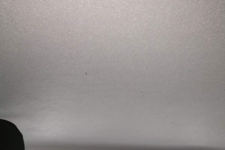 Used Volkswagen Santana 2019 1.5L Manual Fashion Edition China VI Standard
