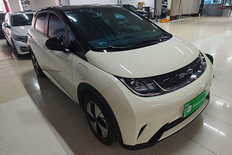 Used BYD Dolphin 2023 420 km Free Version