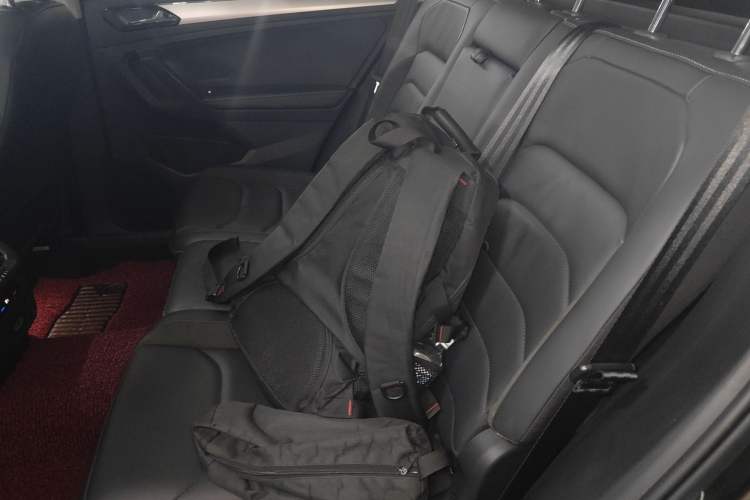 Used Volkswagen Tiguan L 2018 330TSI Automatic Two-Wheel Drive Luxury Edition Left Rear Seat