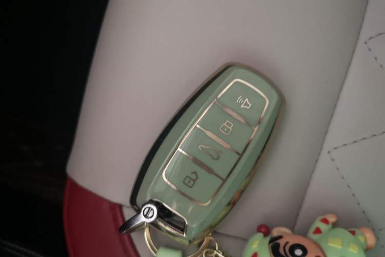 Used ORA Black Cat 2021 351 km Luxury Version Vehicle Key