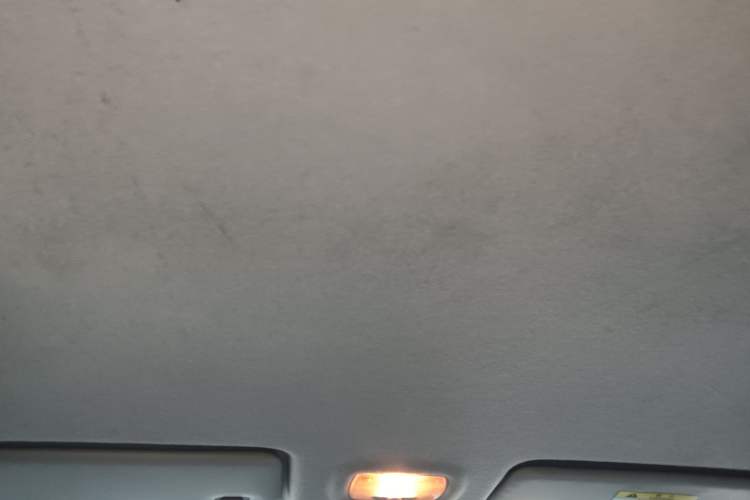 Used FORTHING S50 2021 Operational Type
