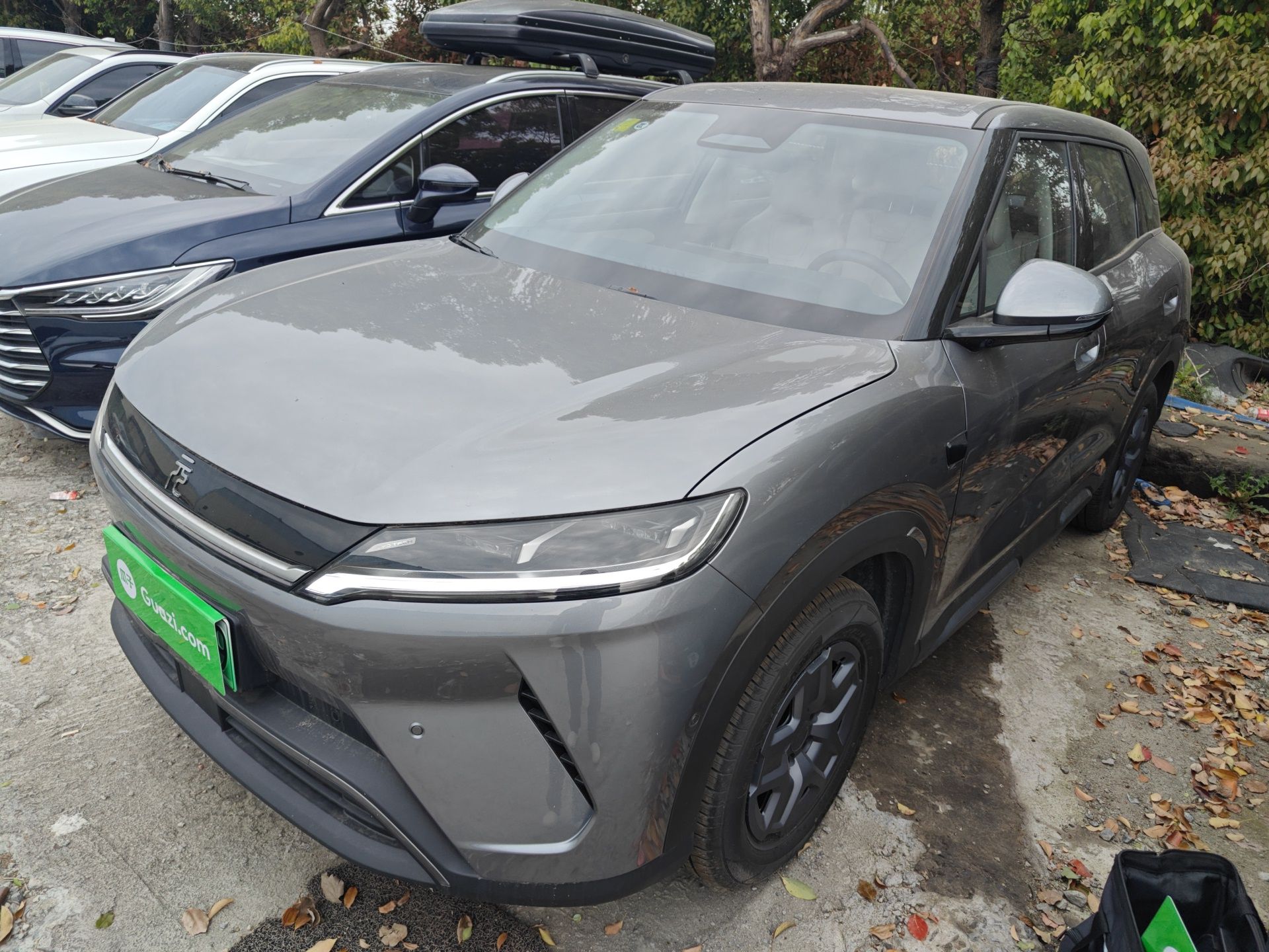 Parte inferior delantera