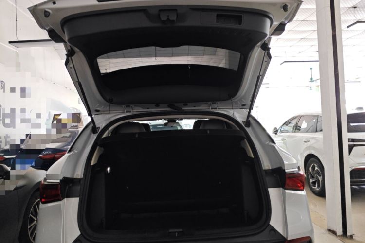 Used BYD Yuan PLUS 2023 Champion Edition 510KM Leading Model