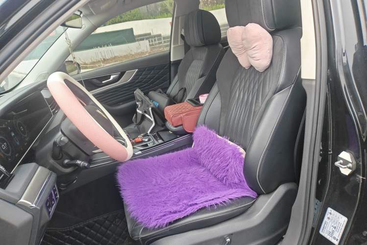 Used Hongqi HS5 2022 2.0T Smart Connect Flagship Enjoyment Purchase Edition