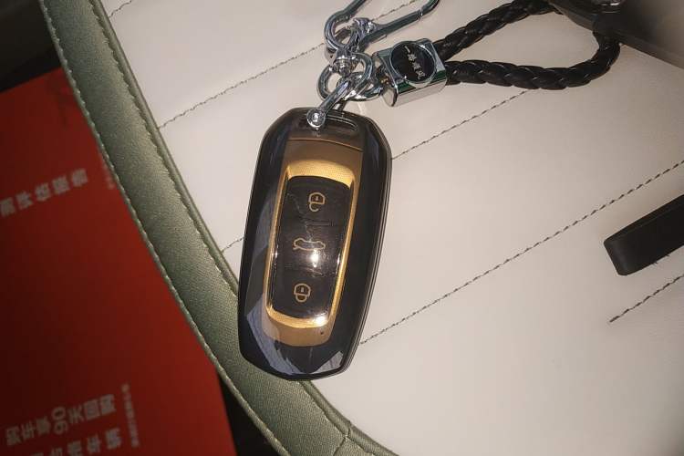 Used Geely Galaxy Panda 2025 210km Panda Rider Vehicle Key