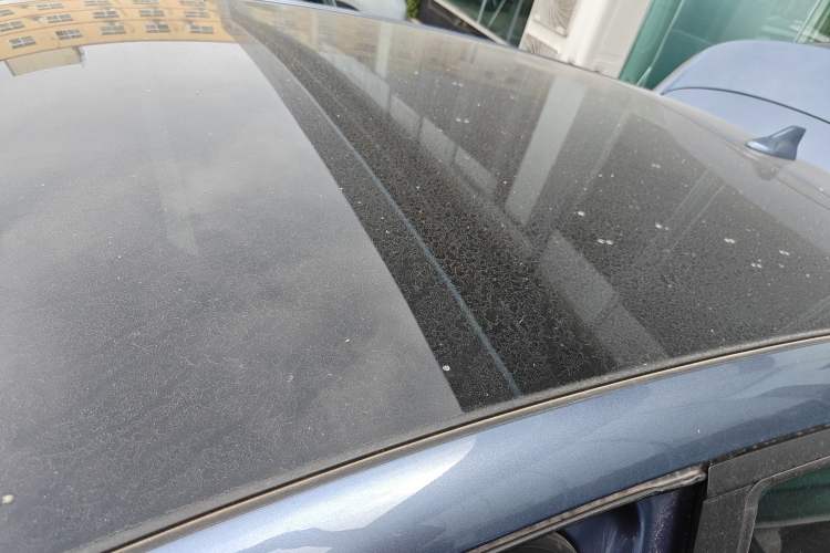 Used BYD Dolphin 2025 Intelligent Driving Version 410 km Fashion Edition Roof