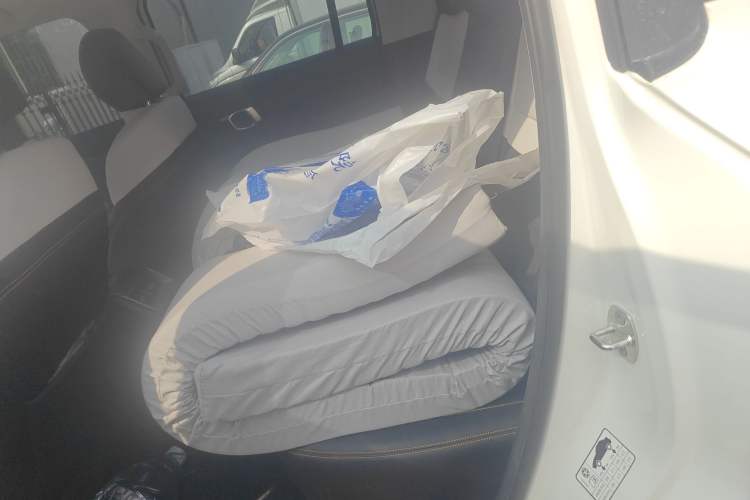 Used BAIC Off-Road BJ30 2024 1.5T Light Off-road Max Edition Left Rear Seat