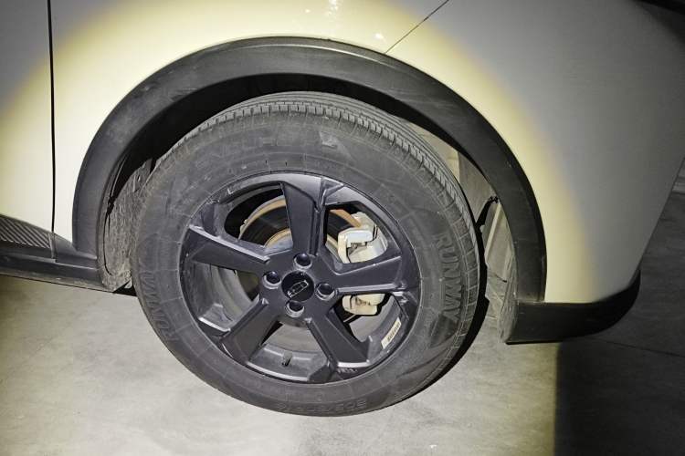 Used Geometry E Firefly 2023 401KM Linglong Tiger 5-Seater