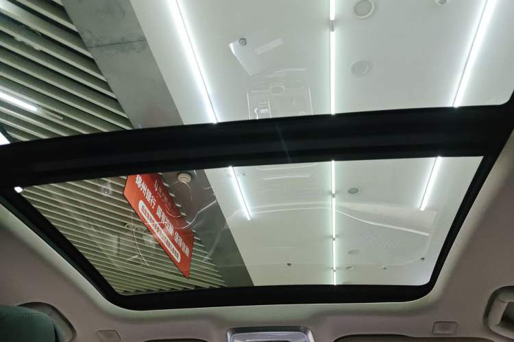 Used Hongqi H9 2022 2.0T Smart Connect Flagship Edition