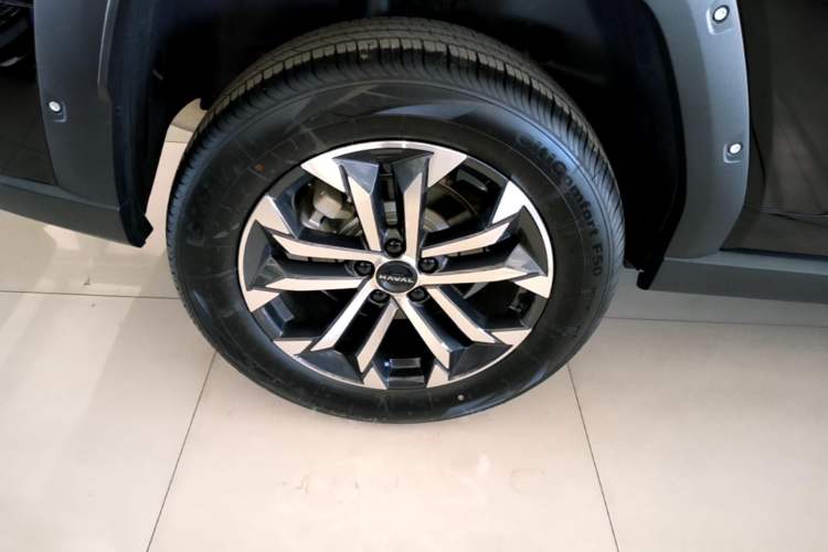 Used Haval H Dog 2023 2.0T All-Wheel-Drive Chaoye Plus
