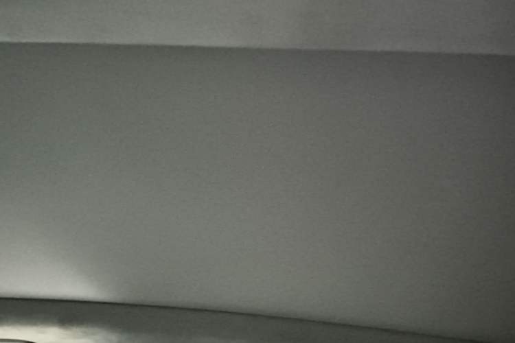 Used Geely Auto Monjaro L 2021 2.0TD DCT EVO Two-Wheel Drive Prestige Version Headliner