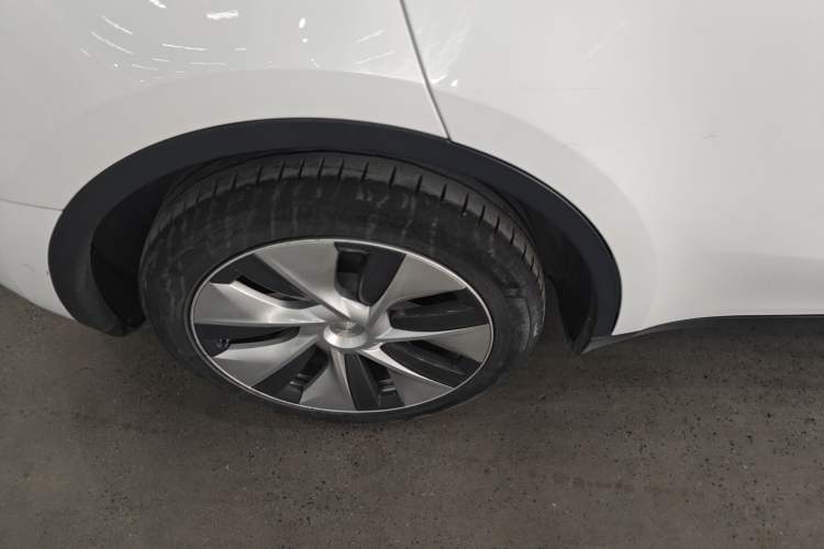 Used Tesla Model Y 2021 Standard Range Rear-Wheel Drive Version
