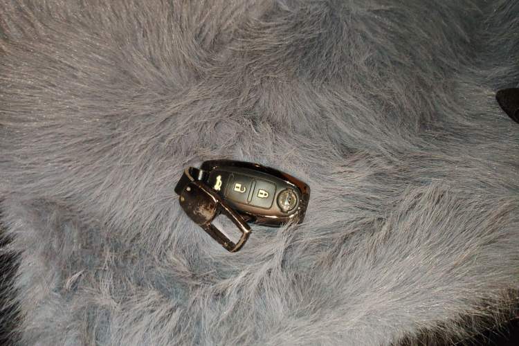 Used Nissan Teana 2021 2.0L XL Comfort Edition Vehicle Key