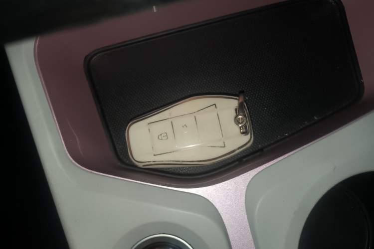 Used SOL E10X 2022 Flower Fairy Style Baby's Breath