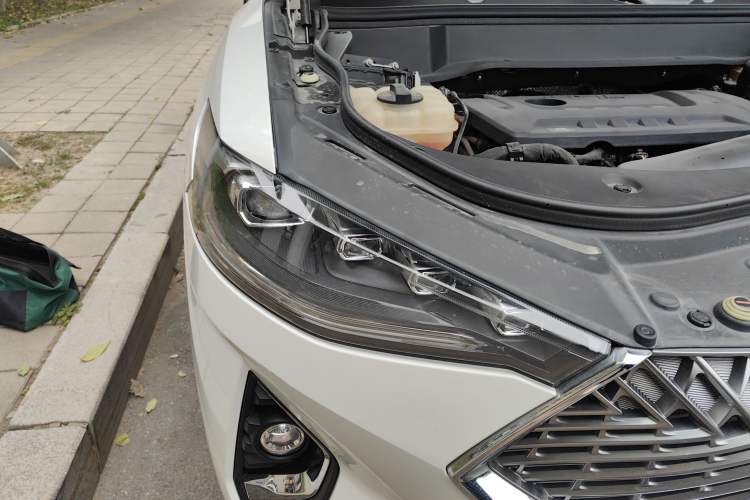 Used Haval F7 2021 2.0T Two-Wheel Drive i-Van
