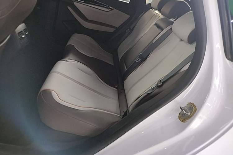 Used BYD Qin PLUS 2023 Champion Edition DM-i 120KM Leading Model Left Rear Seat