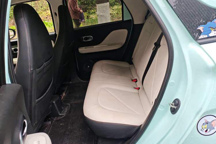 Used Cowin October 2025 Mate 300km Surfing Edition
