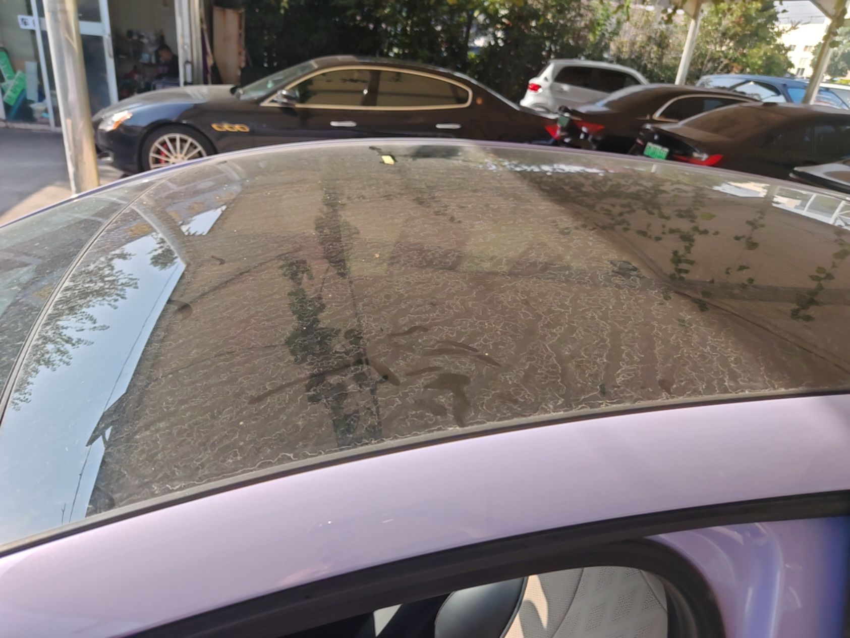BYD Dolphin 2023 420 km Fashion Edition — снимка 7