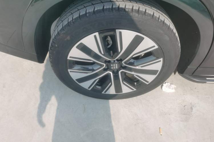 Used Landian E5 PLUS 2025 165 km Long-Range Pro Version with 5 Seats