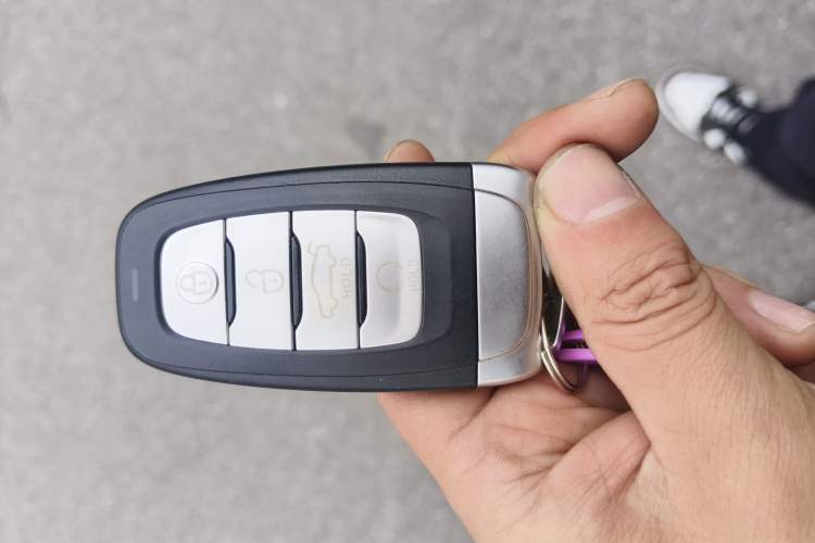 Used Hongqi E-HS9 2021 460 km Range Flagship Edition Six-Seater