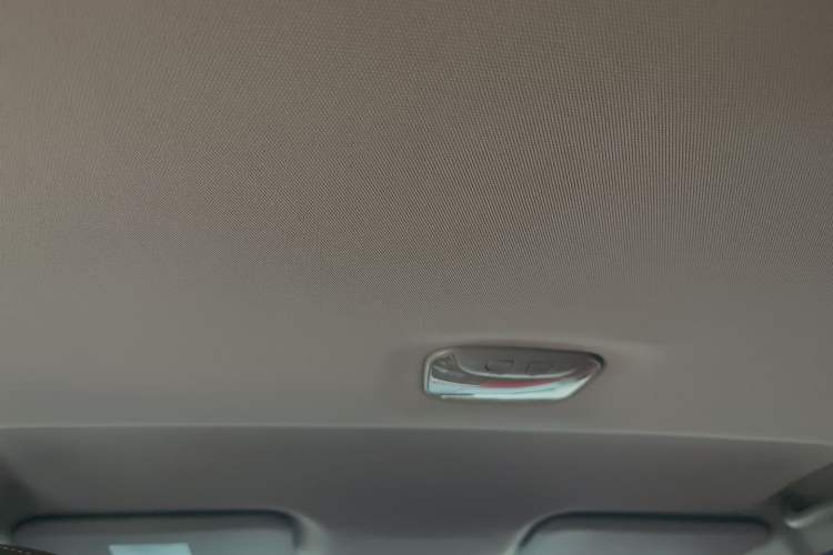 Used Zxauto Terralord 2018 2.5T Diesel Business Edition 4x4 Comfortable Large Double Cab SD4V25R-100 Headliner