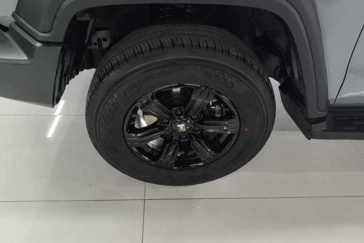 Used Tank 300 2024 2.0T Conqueror