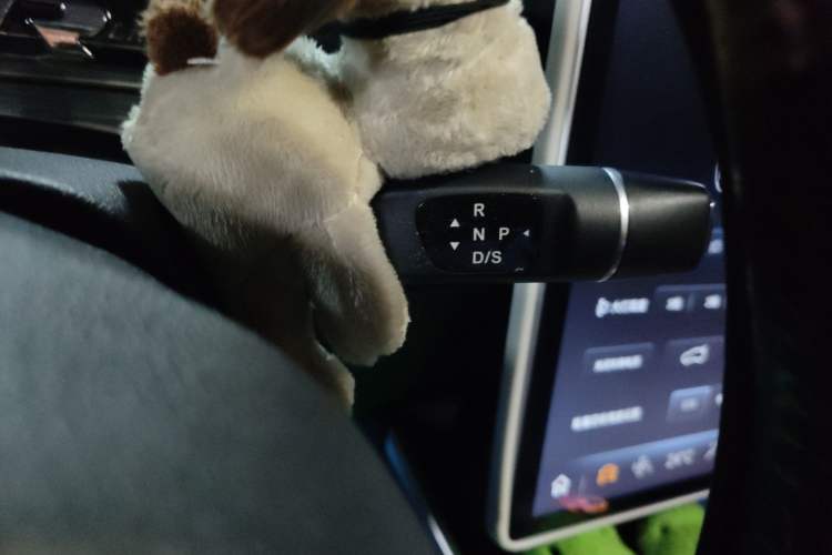 Used NETA V 2022 Chao 300 Lite Lithium Iron Phosphate
