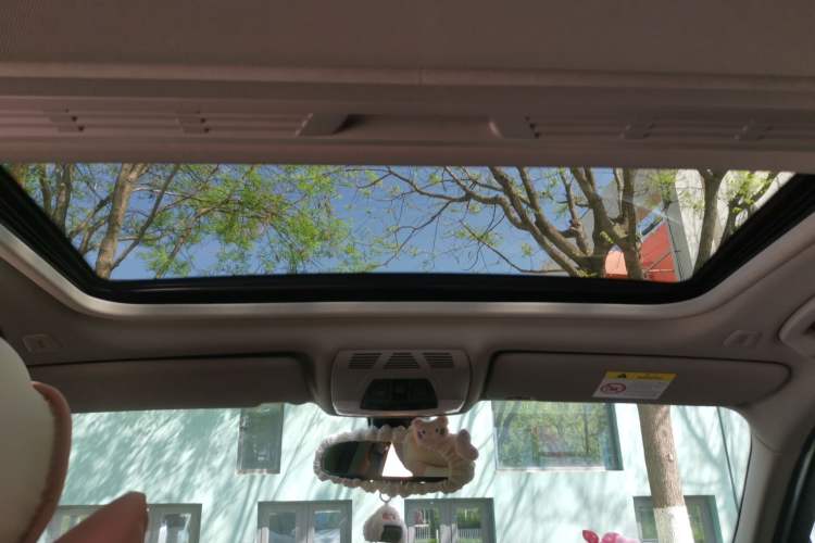 Used BMW 3 Series 2019 320Li Fashion Model Headliner