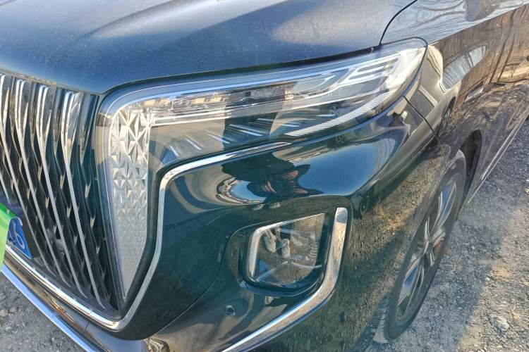 Used Hongqi HQ9 2023 2.0T Smart Connect Flagship Edition