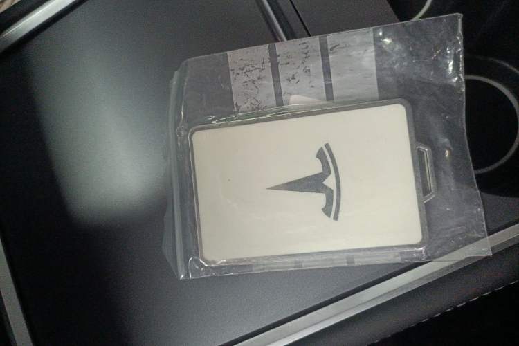 Used Tesla Model Y 2021 Performance High-Performance All-Wheel-Drive Version
