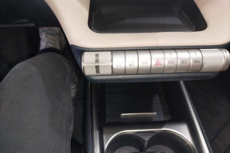 Used BYD Dolphin 2023 420 km Free Version Gear Lever