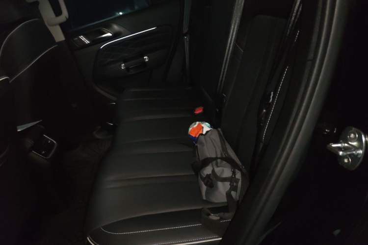 Used Tank 300 2024 2.0T Crosser
