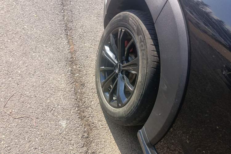 Used Haval H6S 2022 2.0T Two-Wheel Drive JoyRun Version