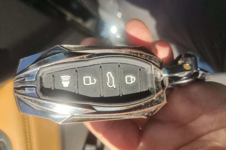 Used Haval H5 2023 2.0T Automatic Two-Wheel Drive LinkedIn Gasoline