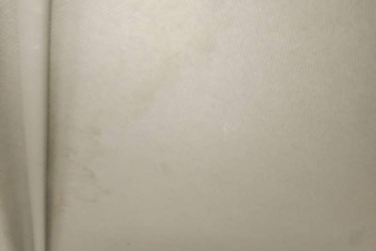 Used Nissan X-Trail 2010 2.5L CVT Luxury Edition 4WD Headliner