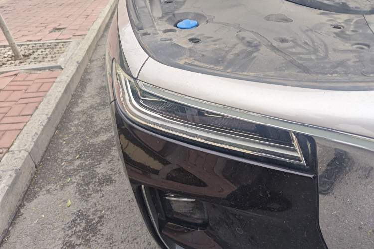 Used Hongqi H9 2020 3.0T Smart Connect Flagship Four-Seat Version