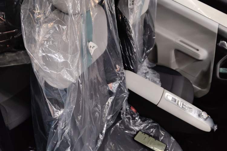 Used CHANGAN NEVO Lumin 2025 205 km Xiangqin Version
