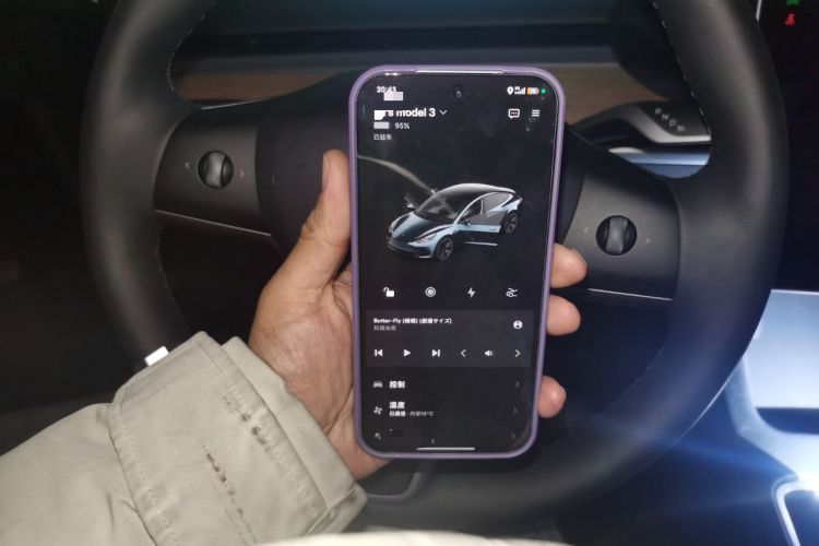 Used Tesla Model 3 2022 Rear-Wheel-Drive Version