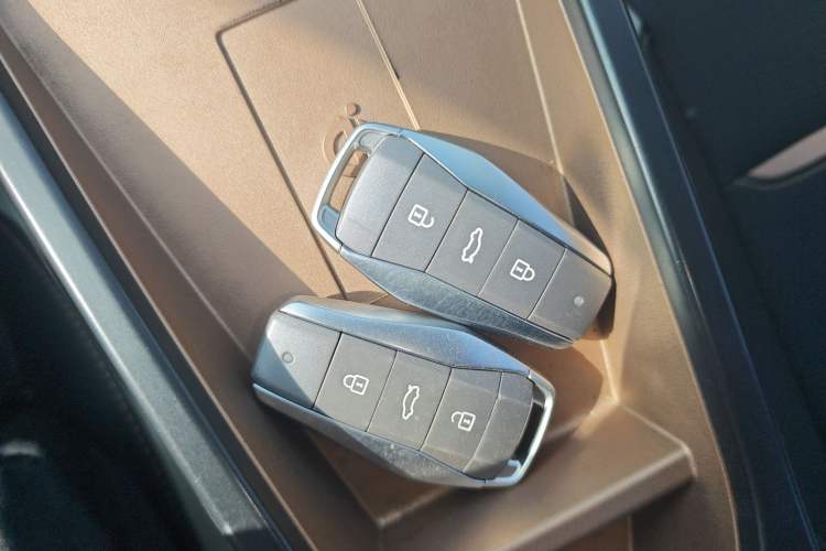 Used SOL E10X 2022 Flower Fairy Style Baby's Breath Vehicle Key