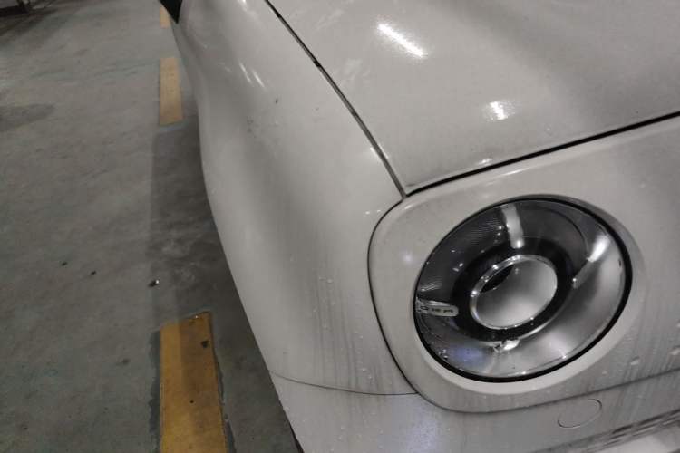 Used ORA Black Cat 2021 301 km Basic Version