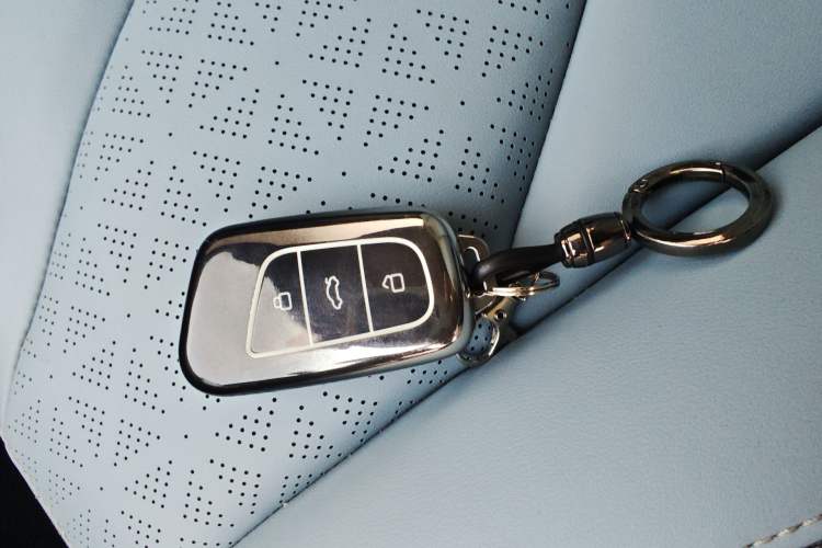 Used Chery Little Ant 2023 251km True Love Edition Lithium Iron Phosphate
