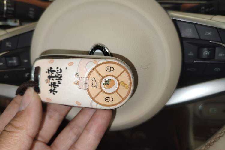 Used ORA Good Cat 2023 401 km Standard Range Premium Version Lithium Iron Phosphate
