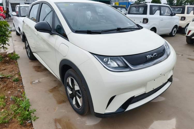 Used BYD Dolphin 2025 420km Free Edition
