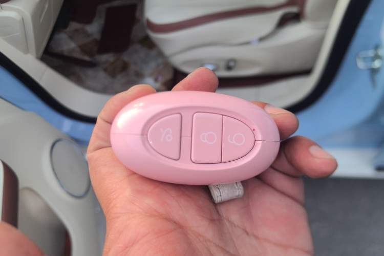 Used ORA Ballet Cat 2023 401 km Luxury Version
